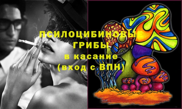 дмт Балахна