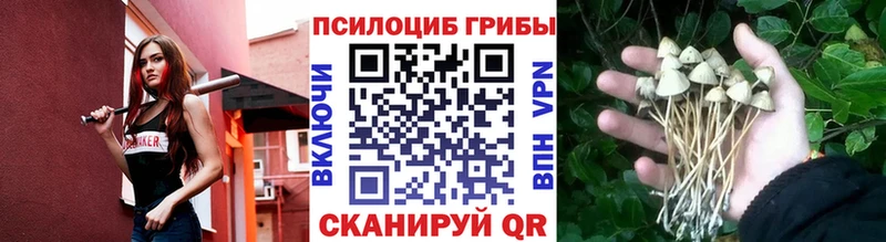 хочу   Сердобск  Галлюциногенные грибы мицелий 